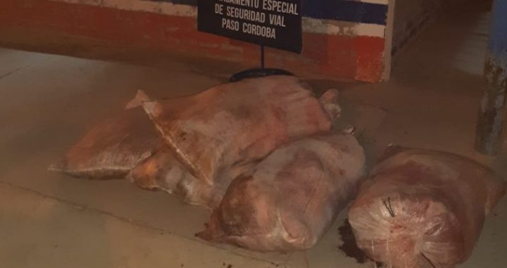 Controles vehiculares: se realizaron tres decomisos de carne en Paso Córdoba